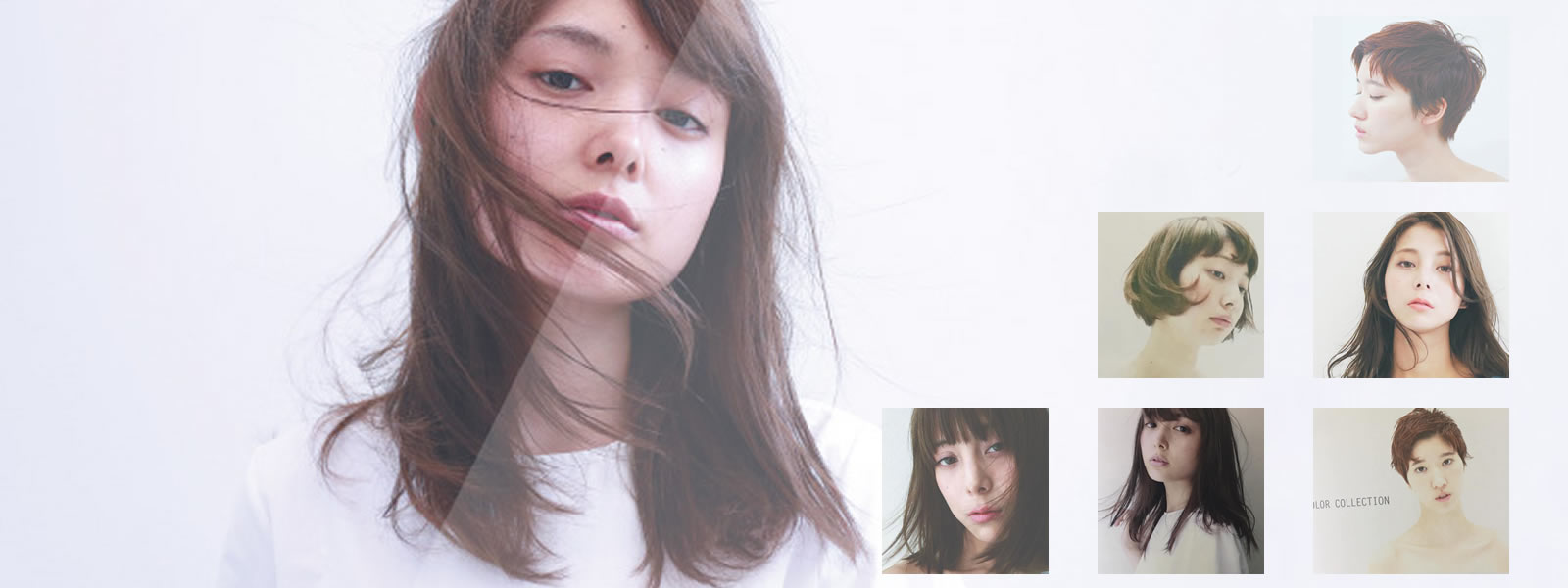 函館 アカサカ トップ画像01