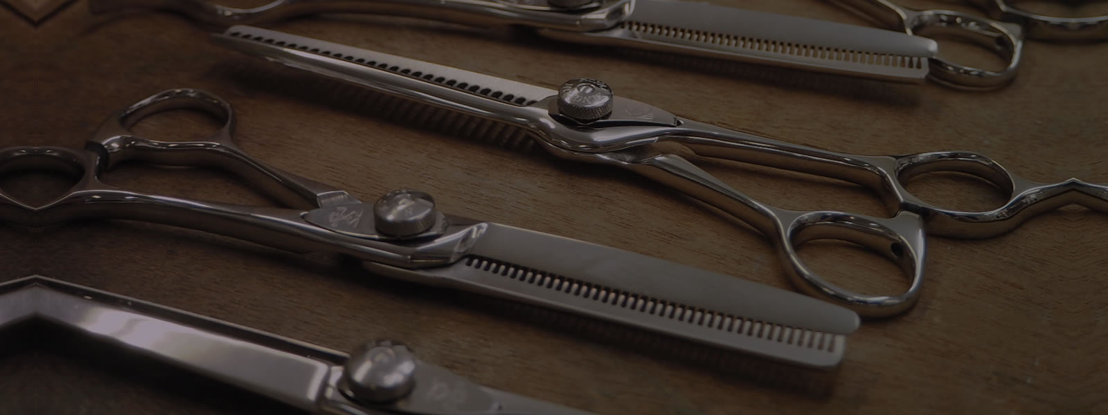 函館 アカサカ トップ画像03