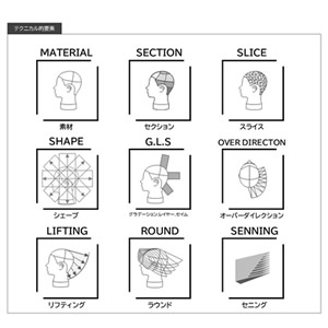 体系づけられた理論だからわかりやすいの画像
